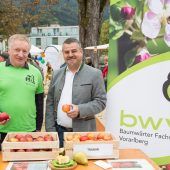 Hochstammbäume für Hohenemser