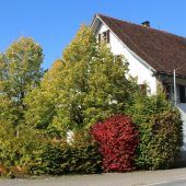 Theater Hohenweiler ist unterwegs in den hokus