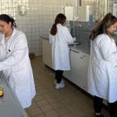 Online-Einblicke in die HTL