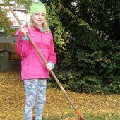 Nützliches Laub für glückliche Igel
