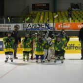 Hinein in die Welt des Eishockey