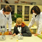 Vorgeschmack auf die Oberstufe