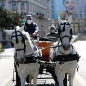 Erneut Fiakerpferd zusammengebrochen