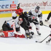 Die Bulldogs probieren den Neustart