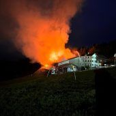 41 Kühe gerettet