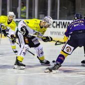 Ems-Hockey weiter in der Erfolgsspur