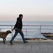 Bilder des Tages