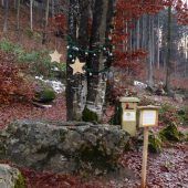 Weihnachtswunderwald in St. Arbogast