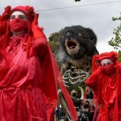 Bilder des Tages