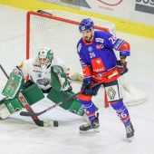 Bulldogs überraschen gegen die Haie