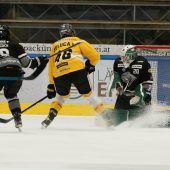 Dornbirn beendet Heimfluch
