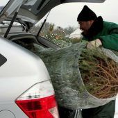 Ungesicherter Christbaum am Auto kostet bis zu 5000 Euro