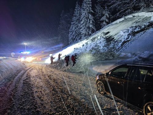 Die Bergrettung Hittisau-Sibratsgfäll suchte mit Lawinensonden die Schneemengen nach Personen ab.  feuerwehr hittisau