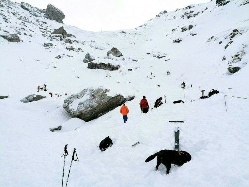 Die Bergrettung rückte mit 70 Helfern und Suchhunden aus.  apa