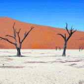 Das Sossusvlei im Herzen Namibias