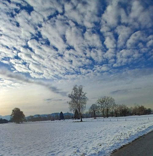 Dieses Bild von der Winterlandschaft im Lauteracher Ried gelang Claudia Attlmayer.