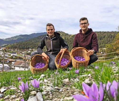 Erfolgreiches Crowdfunding-Projekt: Laurin Jochum und Robert Martin bauen in Lech Safran an.  raiffeisen