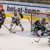 Die Bulldogs wurden wieder vorgeführt