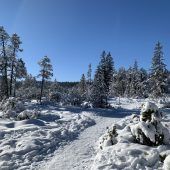 Liebeszauber im Advent. Eine Adventgeschichte in 25 Kapiteln von Heide Flatschacher (Teil 21/25 – gekürzte Fassung)