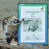 Paten ­gesucht
