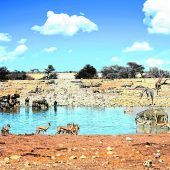 Etosha Nationalpark im Norden Namibias