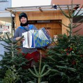 Hochsaison für Christbaumzüchter