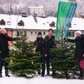 Christbaumaktion geht ins Finale