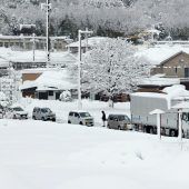 Schneefälle sorgen für Chaos in Japan