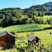 Eingesendet. Vereinsnachrichten aus dem Bezirk