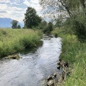 Gewässerlauf wird naturnah gestaltet