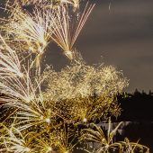 Silvester wird nicht überall ein Kracher