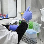 Kritik an Corona-Teststrategie