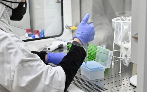 Der Rechnungshof setzte sich mit den Tests während der Pandemie auseinander.    APA/Punz