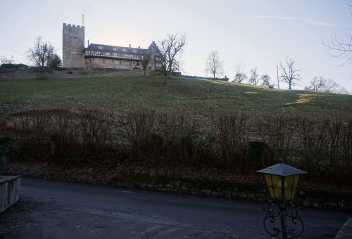 Der Wolfurter Schlossbühel wird ab dem Frühjahr 2023 zum Weinberg.  hapf