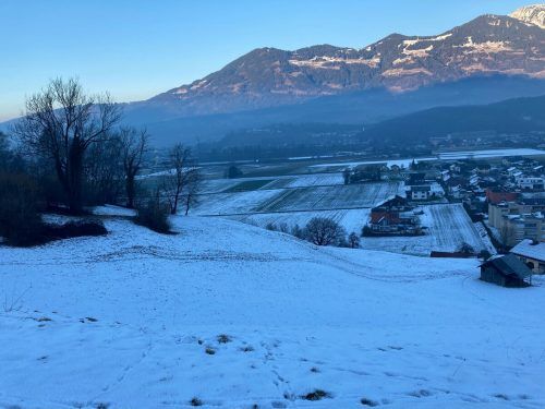 Diese landwirtschaftliche Fläche sorgte in Nenzing für viel Gesprächsstoff. Sie gehört jetzt endgültig Egon Kasseroler.  VN