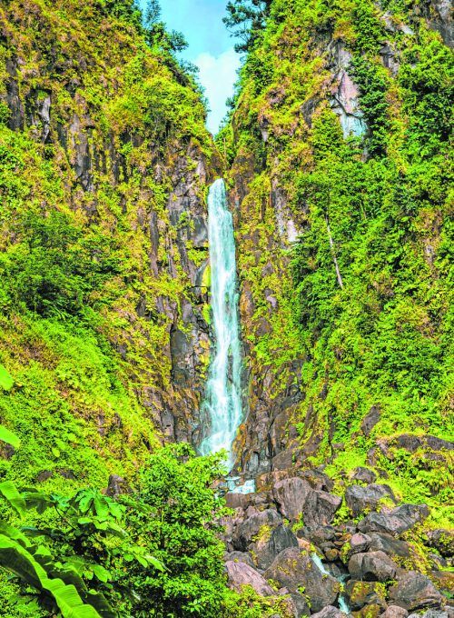 Die Natur auf Dominica ist rau und wild. Viele Orte – vor allem im Inselinneren – sind nur zu Fuß zu erreichen.