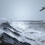 Schiffskollision auf der Nordsee – 18 Menschen evakuiert