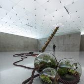 Freitag, 7. 1. kunsthaus bregenz