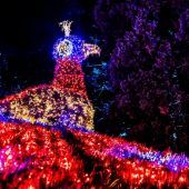 ab 17.30 Uhr insel mainau
