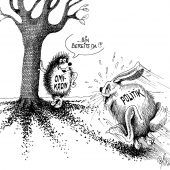 Der Hase und der Igel!