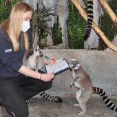 Tierische Inventur