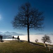 Unten grau, oben wow!