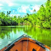 Fahrt auf dem Indian River