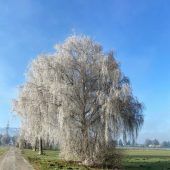 Das Ländle in Bildern