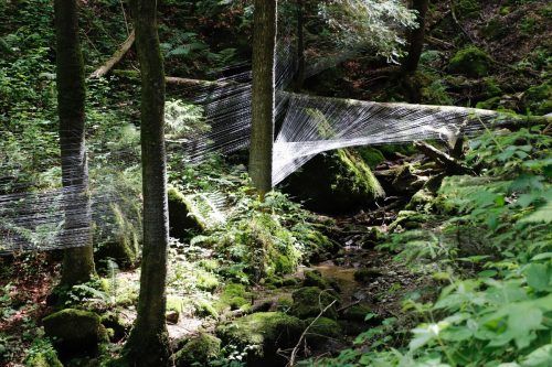 Mit einem Gespinst aus über 20 Kilometer verzinktem Eisendraht machte Anna-Amanda Steurer in einer engen Schlucht im Bregenzerwald Zeitabläufe sichtbar. steurer