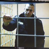 Nawalny bereut Rückkehr nach Russland nicht