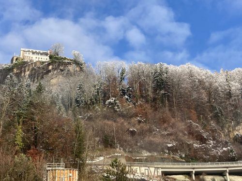 Rund 100 Bäume unterhalb des Gebhardsbergs müssen aus Sicherheitsgründen gefällt werden. Wildbach und Lawinenverbauung