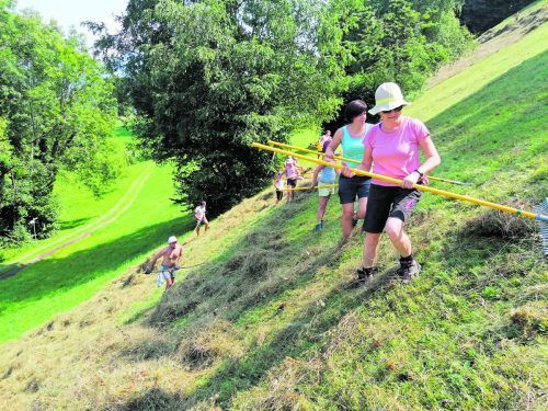 Rund 250 freiwillige Helfer beteiligten sich an der Ernte.  Regio walgau