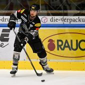 Die Bulldogs brauchen Nachhaltigkeit