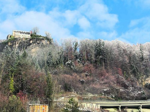 Unter dem Gebhardsberg bei Bregenz müssen Bäume gefällt werden.